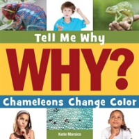 Chameleons_Change_Color
